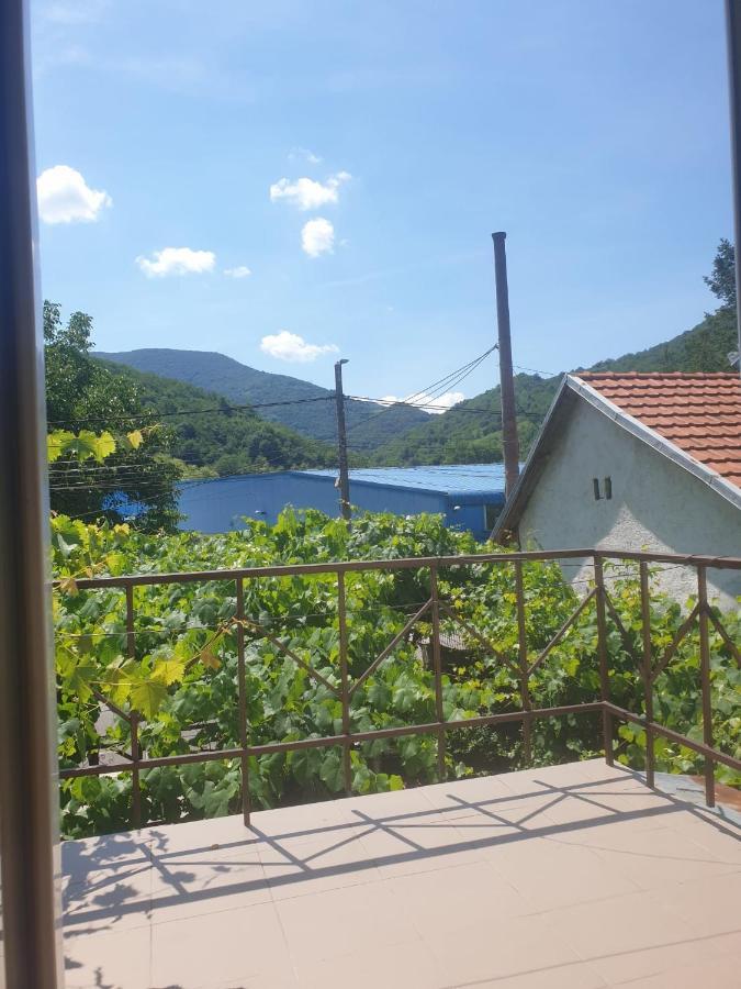 Hotel Casa Dina Băile Herculane Zewnętrze zdjęcie